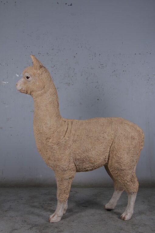 ALPACA JR 080074 - Image 3