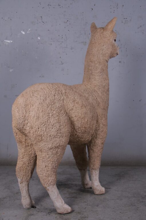 ALPACA JR 080074 - Image 7
