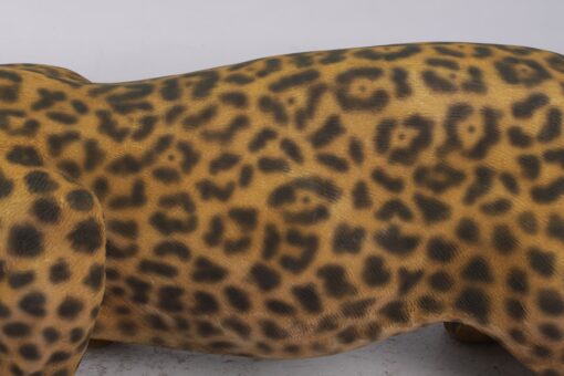 JAGUAR JR 080110 - Image 6
