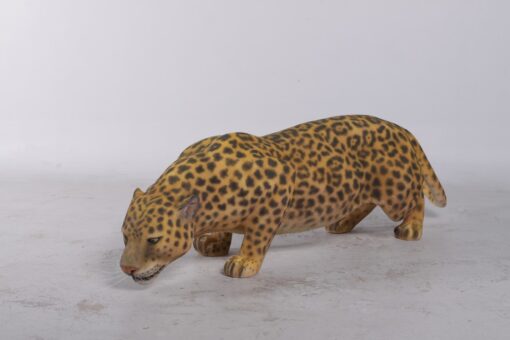 JAGUAR JR 080110 - Image 5