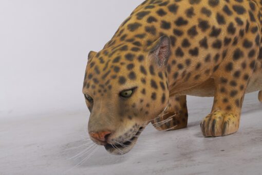 JAGUAR JR 080110 - Image 4