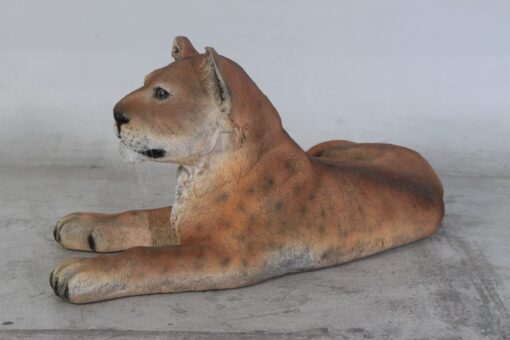 LION CUB LYING JR 080116 - Image 5
