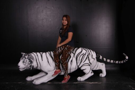 TIGER - BENGAL JR 080120 - Image 5