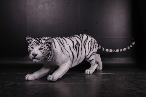 TIGER - BENGAL JR 080120 - Image 4
