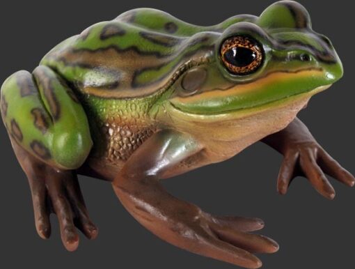 GREEN AND GOLDEN BELL FROG 100003 - Image 3