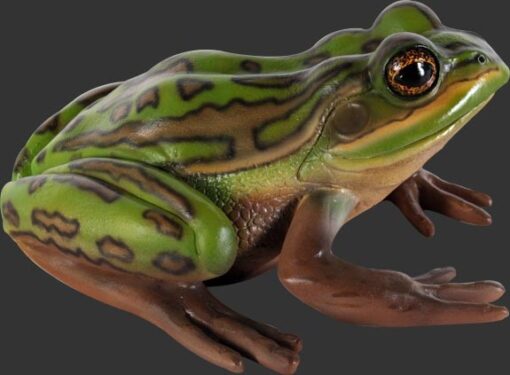 GREEN AND GOLDEN BELL FROG 100003