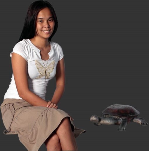 LONG NECK TURTLE JR 100114 - Image 2