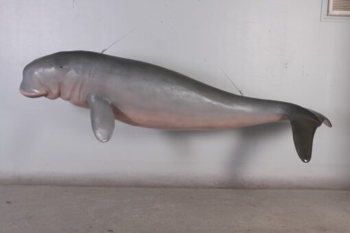 DUGONG - HANGING JR 100127 - Image 6