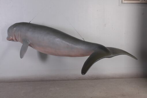 DUGONG - HANGING JR 100127 - Image 5
