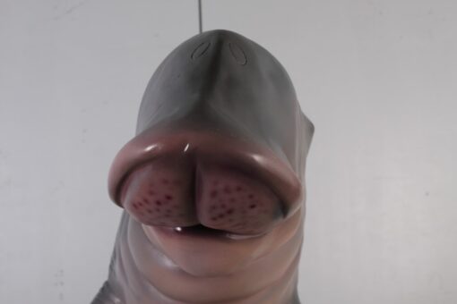 DUGONG - HANGING JR 100127 - Image 2