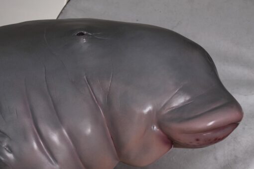 DUGONG - HANGING JR 100127 - Image 7