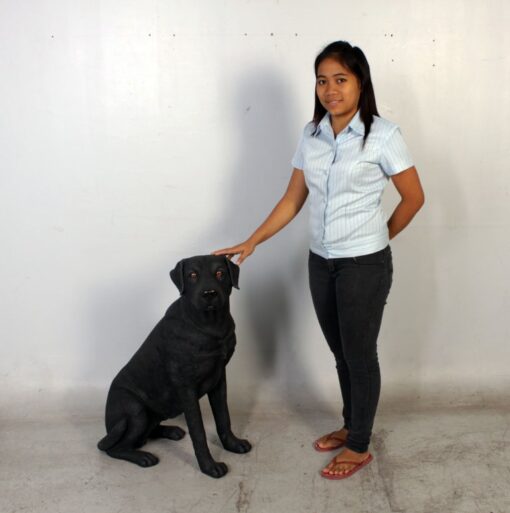 LABRADOR SITTING JR 110098 - Image 22