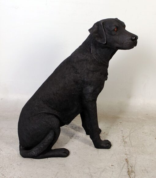 LABRADOR SITTING JR 110098 - Image 20