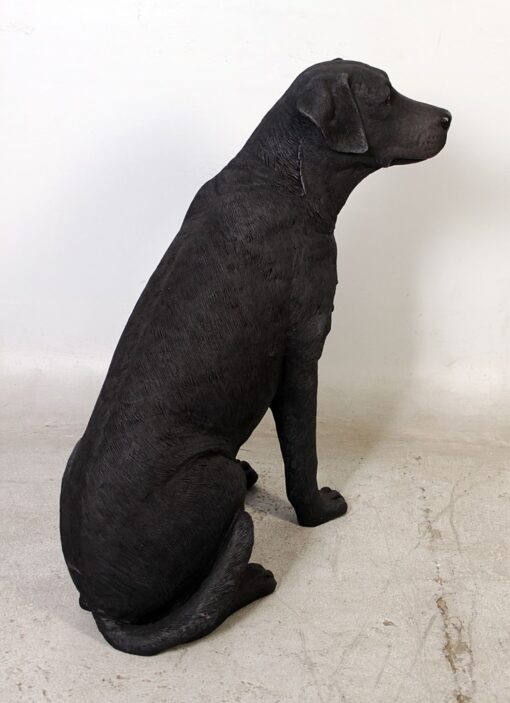 LABRADOR SITTING JR 110098 - Image 19