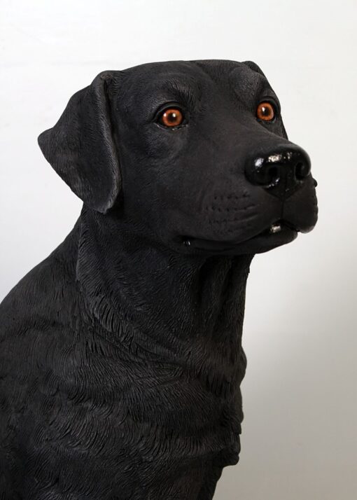LABRADOR SITTING JR 110098 - Image 24