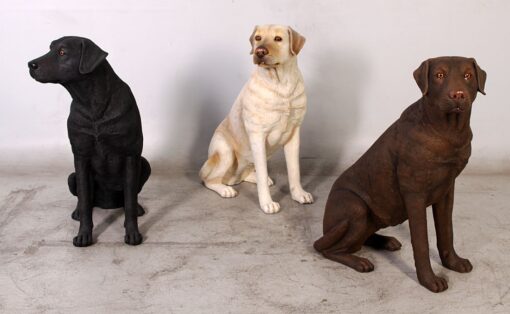 LABRADOR SITTING JR 110098 - Image 15