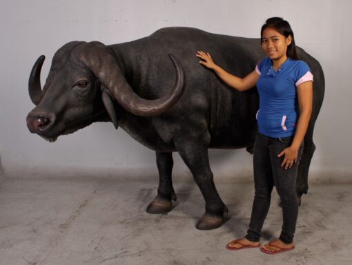 AFRICAN BUFFALO JR 110117