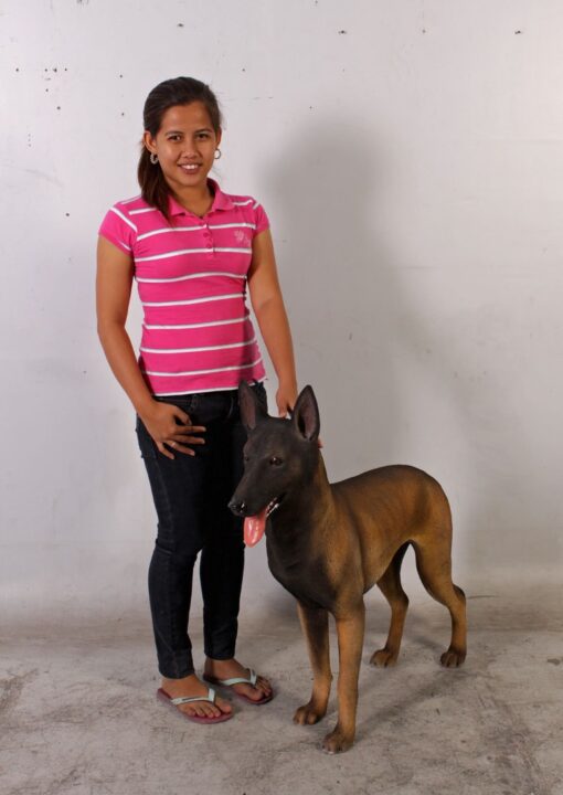 BELGIAN MALINOIS JR 110127 - Image 7
