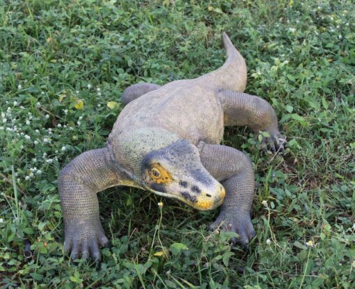 KOMODO DRAGON SMALL JR 120001 - Image 3