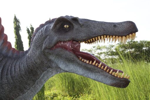 SPINOSAURUS JR 120030 - Image 6