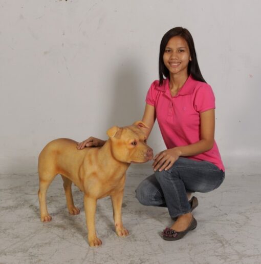 PITBULL ADULT FEMALE JR 120055 - Image 7