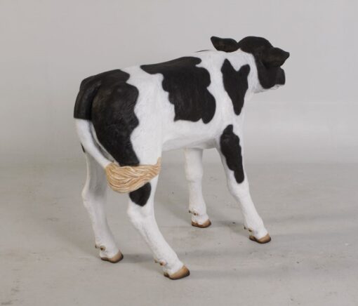 CALF NEW BORN JR 120076 - Image 8