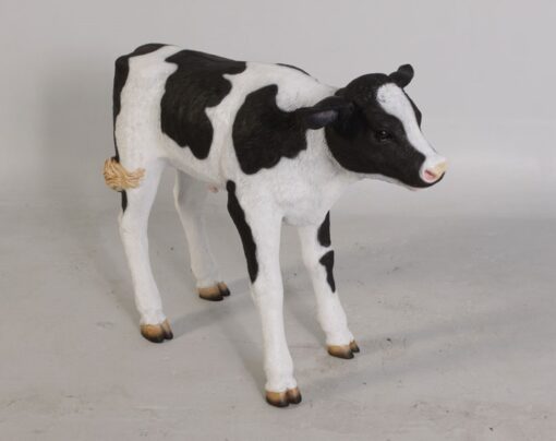 CALF NEW BORN JR 120076