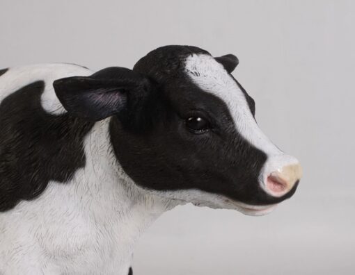 CALF NEW BORN JR 120076 - Image 4