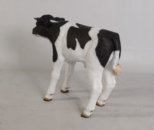 CALF NEW BORN JR 120076 - Image 10