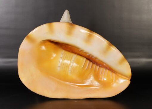 HELMET SHELL JR 130006 - Image 3