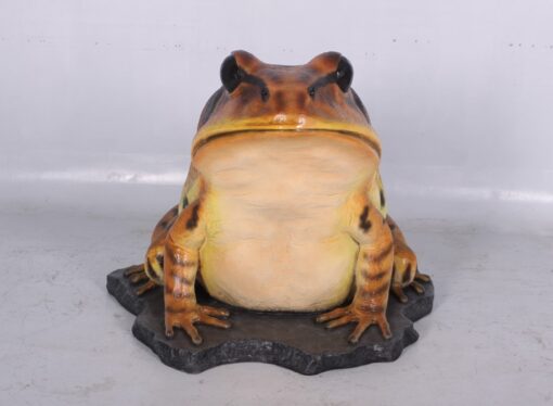 GREAT BARRED FROG 130060 - Image 6