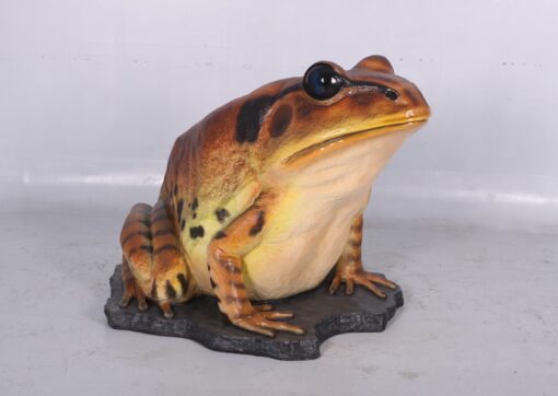 GREAT BARRED FROG 130060 - Image 5