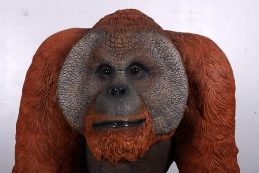 ORANGUTAN WALKING MALE JR 140041 - Image 8