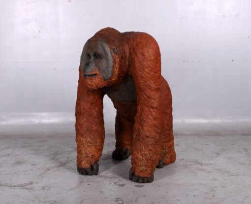 ORANGUTAN WALKING MALE JR 140041 - Image 6