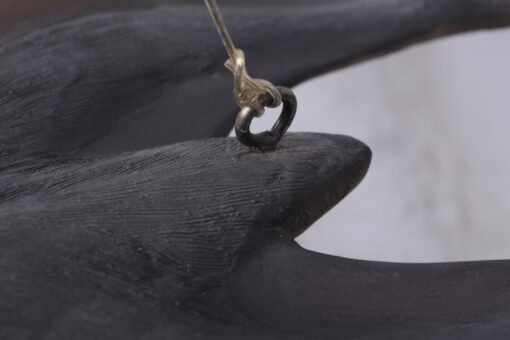 PTERANODON JR 140025 - Image 10