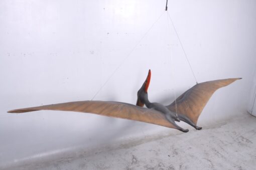 PTERANODON JR 140025 - Image 13