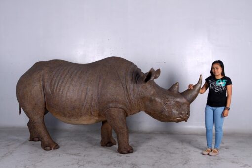 RHINOCEROS - BLACK JR 140042 - Image 6