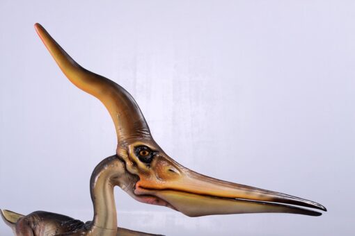 PTERANODON INGENS JR 140072 - Image 8