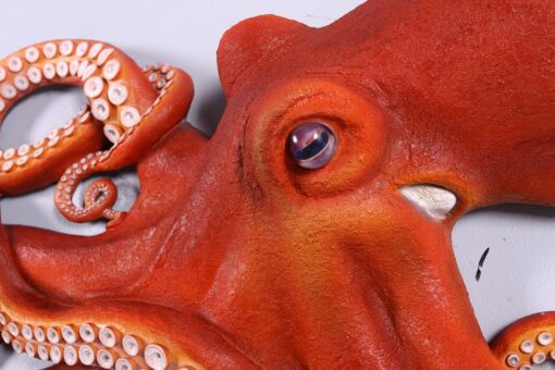 OCTOPUS WALL DÉCOR JR 140096 - Image 4