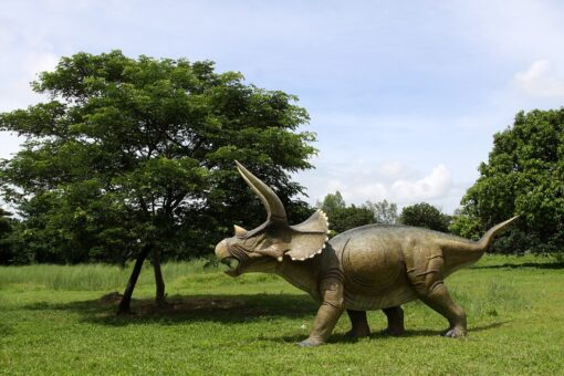 TRICERATOPS GIANT JR 140098 - Image 11