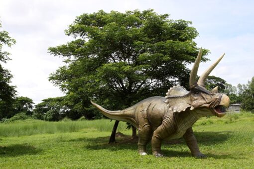 TRICERATOPS GIANT JR 140098 - Image 6