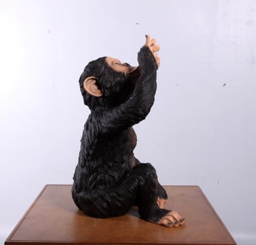 CHIMPANZEE BOTTLE HOLDER JR 140099 - Image 12