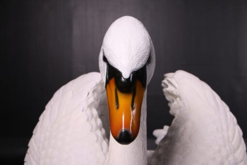 SWAN JR 150221 - Image 2