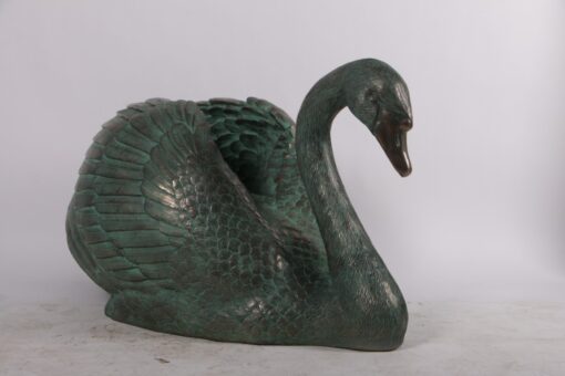 SWAN JR 150221 - Image 12