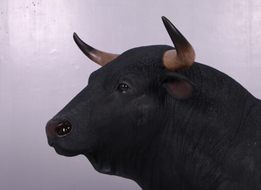 BLACK SPANISH BULL JR 150232 - Image 3