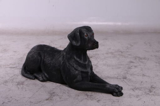 LABRADOR LYING DOWN JR 150251 - Image 11