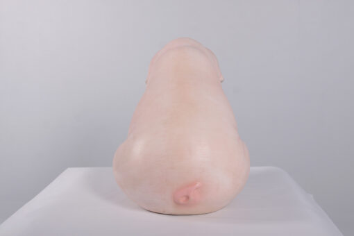 SITTING PIGLET  JR 160259 - Image 3