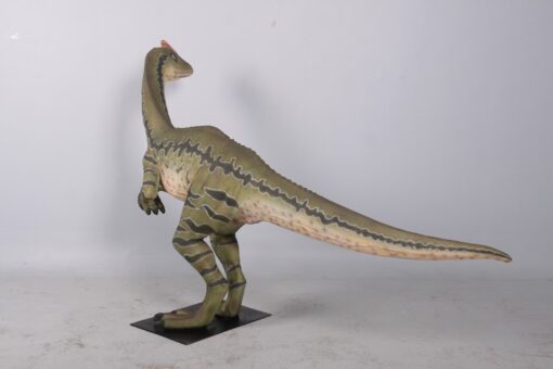 DILONG PARADOXUS JR 160273 - Image 6