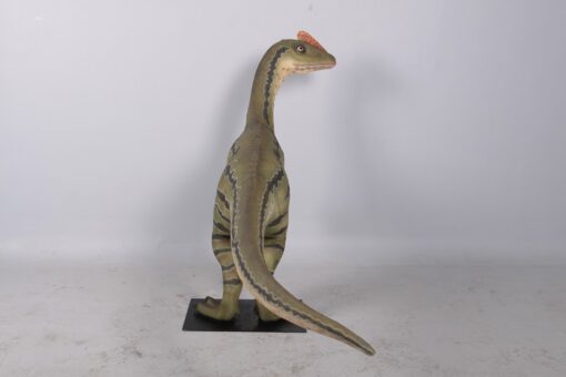 DILONG PARADOXUS JR 160273 - Image 7