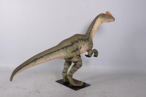 DILONG PARADOXUS JR 160273 - Image 8